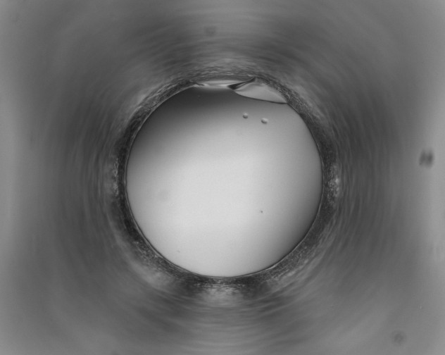 X0000090870547200708171627