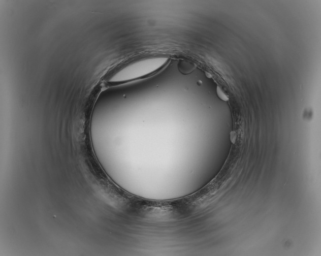 X0000090870548200708171627