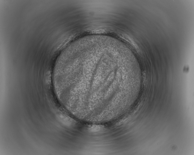 X0000090870549200708171627