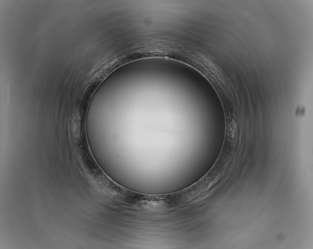 X0000090870552200708171627