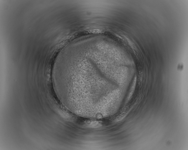 X0000090870553200708171627