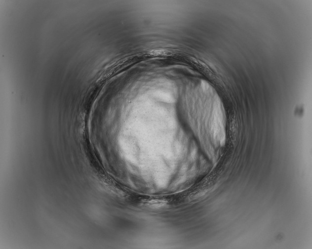 X0000090870554200708171627