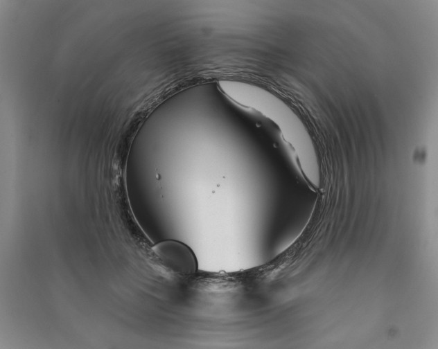 X0000090870555200708171627