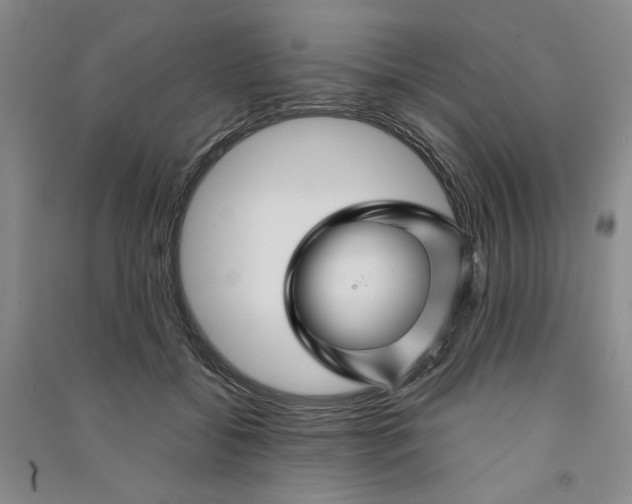 X0000090870556200708171627