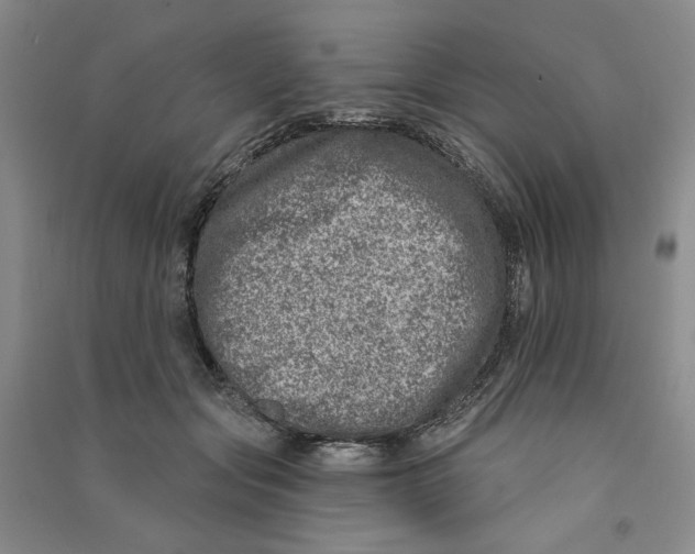 X0000090870557200708171627