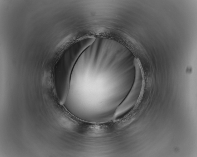 X0000090870558200708171627