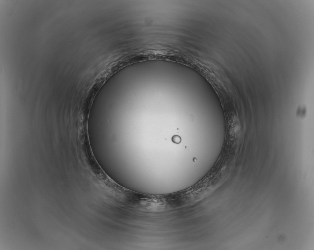 X0000090870559200708171627