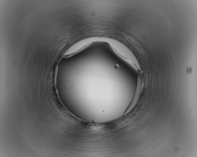 X0000090870560200708171627