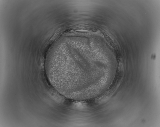 X0000090870561200708171627