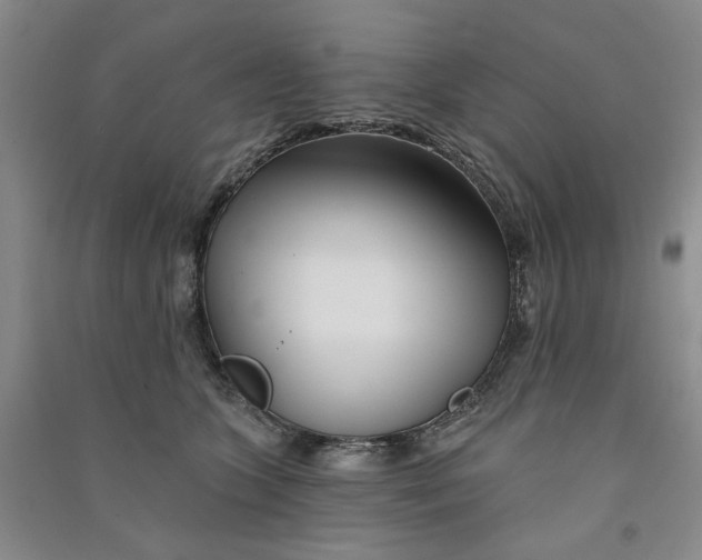 X0000090870563200708171627