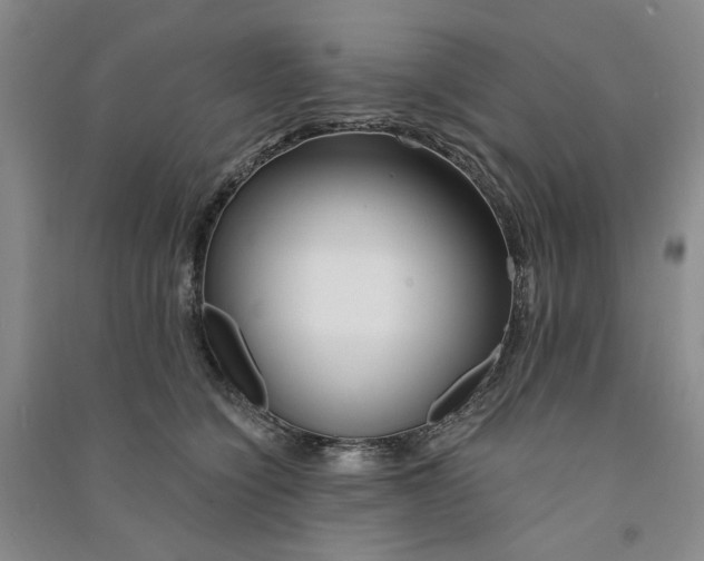 X0000090870564200708171627