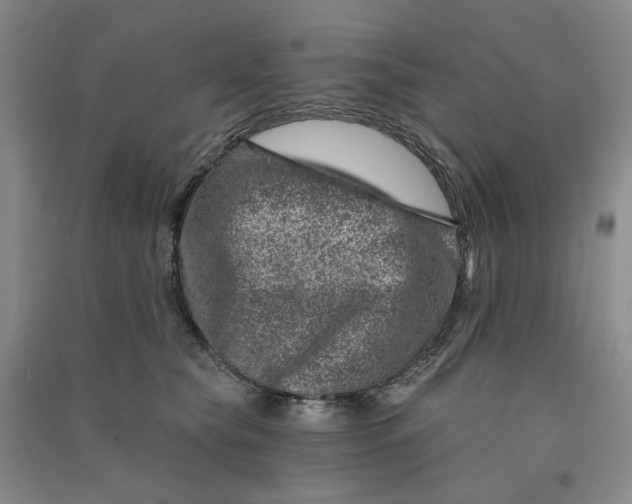 X0000090870565200708171627