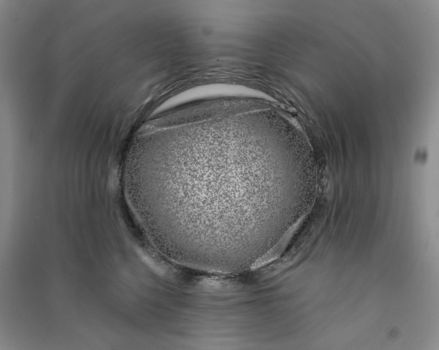 X0000090870568200708171627