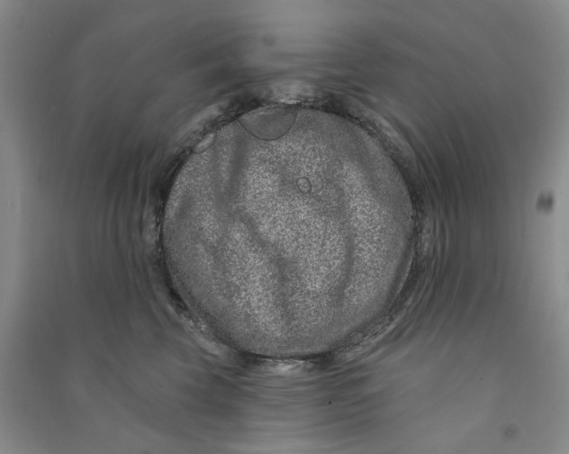 X0000090870569200708171627