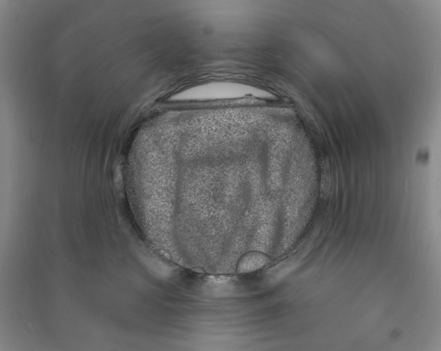 X0000090870573200708171627