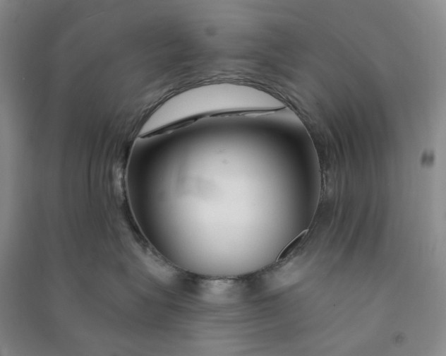 X0000090870575200708171627