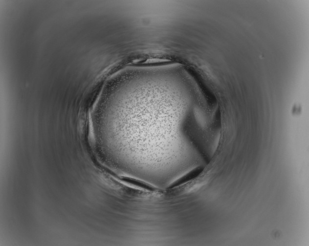 X0000090870576200708171627