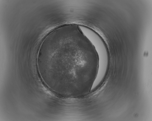 X0000090870577200708171627