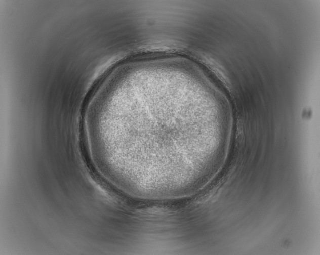 X0000090870578200708171627