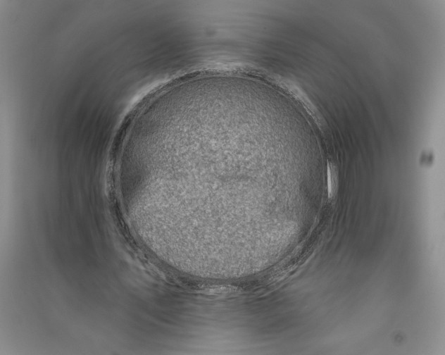 X0000090870579200708171627