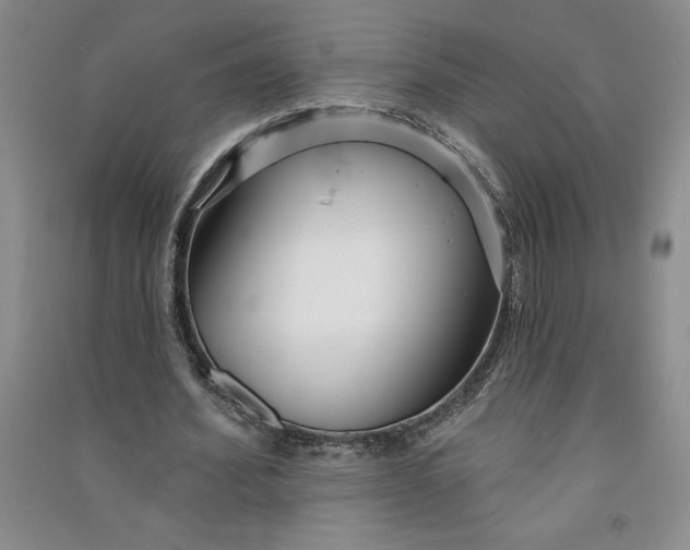 X0000090870580200708171627