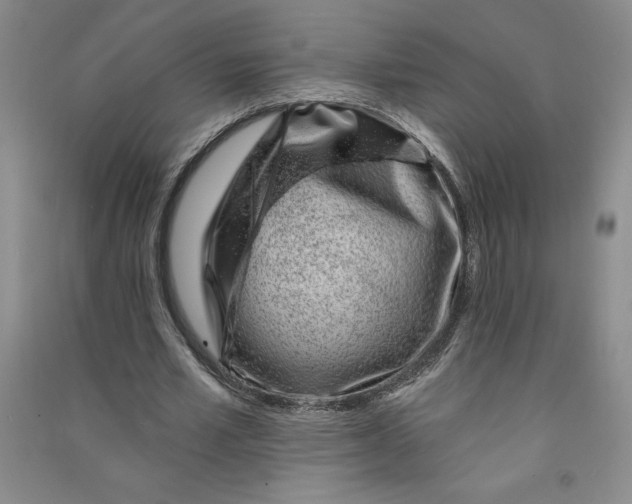 X0000090870581200708171627