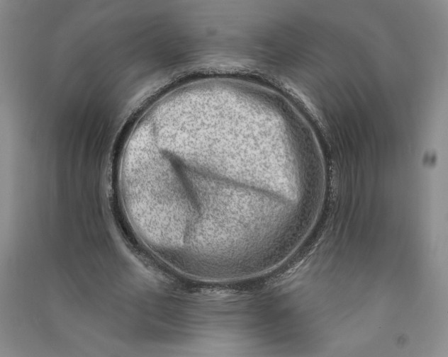 X0000090870582200708171627