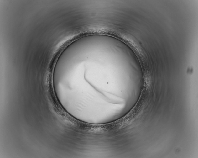 X0000090870583200708171627