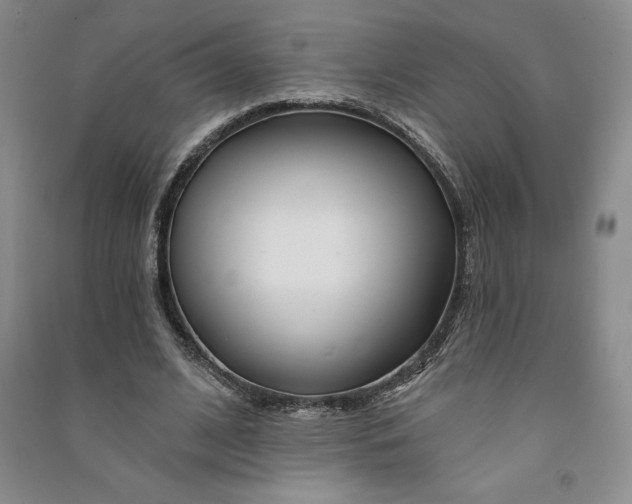 X0000090870584200708171627