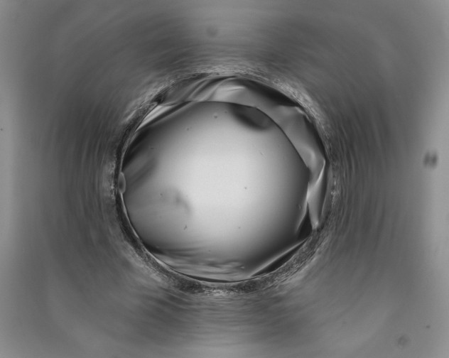 X0000090870585200708171627