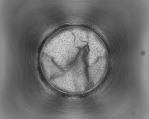 X0000090870586200708171627