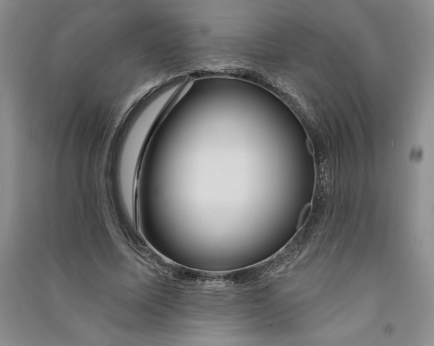 X0000090870587200708171627