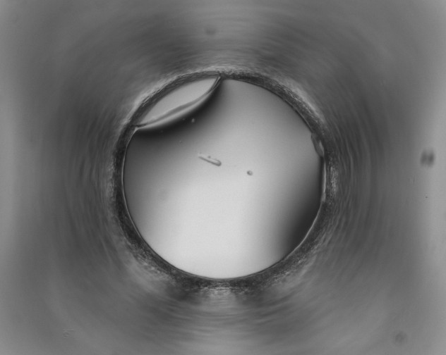 X0000090870588200708171627