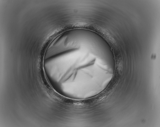 X0000090870591200708171627