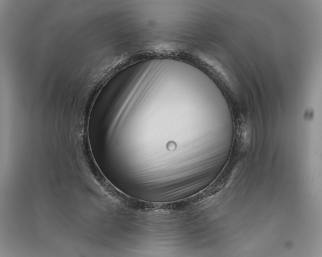 X0000090870593200708171627