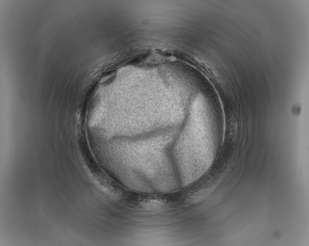 X0000090870594200708171627