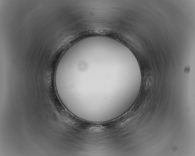 X0000090870595200708171627