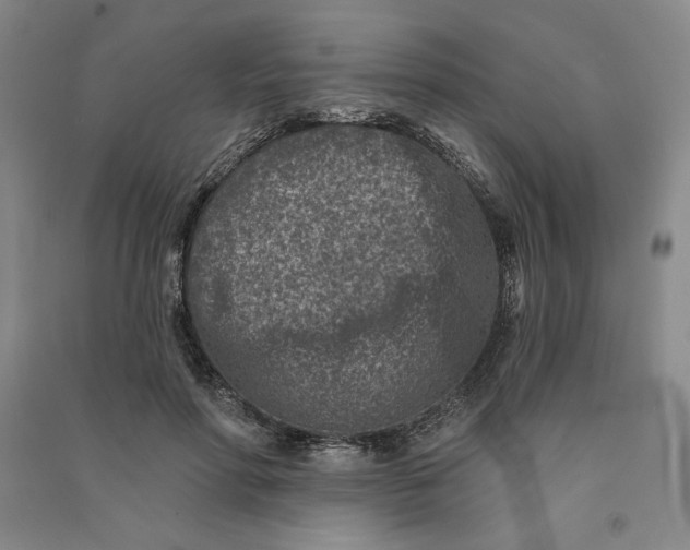 X0000090870598200708171627