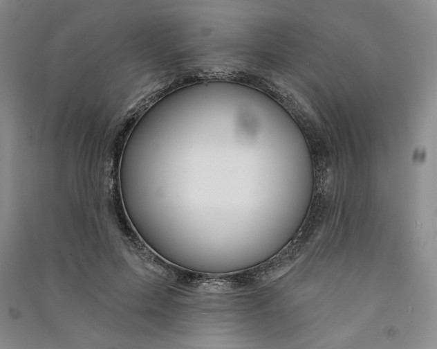 X0000090870599200708171627