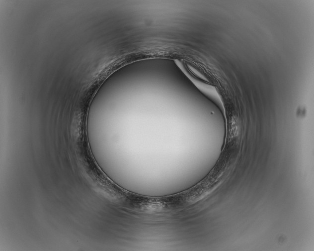 X0000090870600200708171626