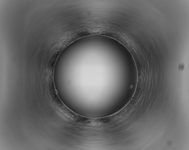 X0000090870601200708171626