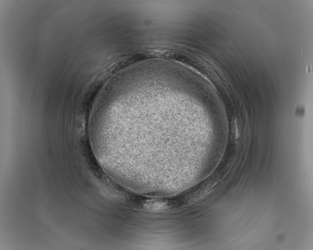 X0000090870602200708171626