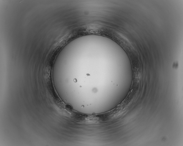 X0000090870603200708171626