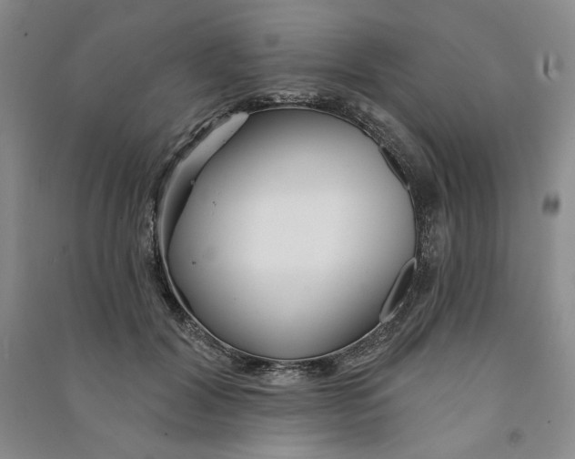 X0000090870604200708171626