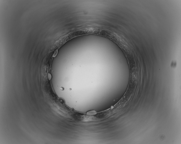 X0000090870605200708171626