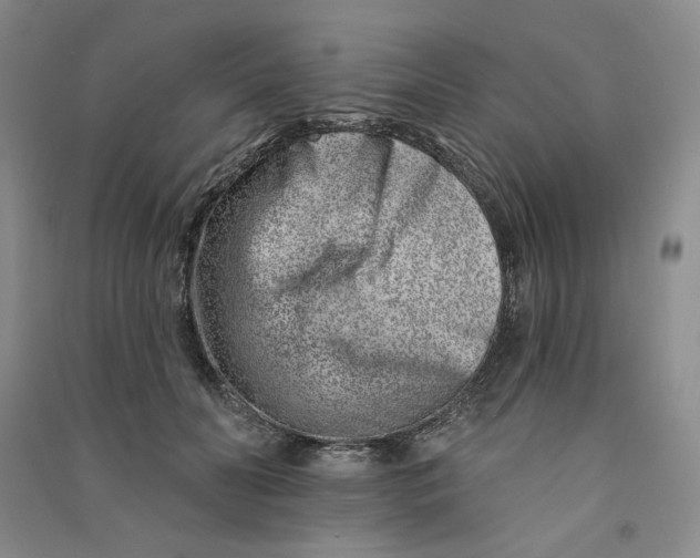 X0000090870606200708171626