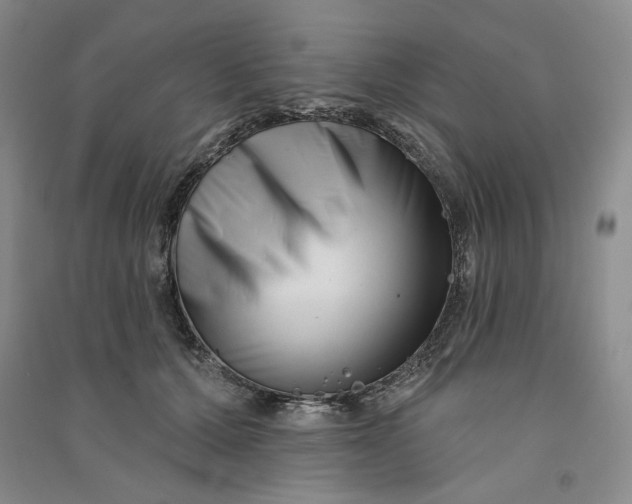 X0000090870607200708171626