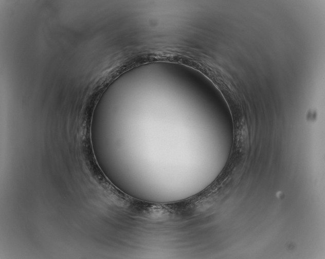 X0000090870608200708171626