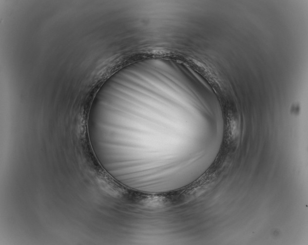 X0000090870609200708171626