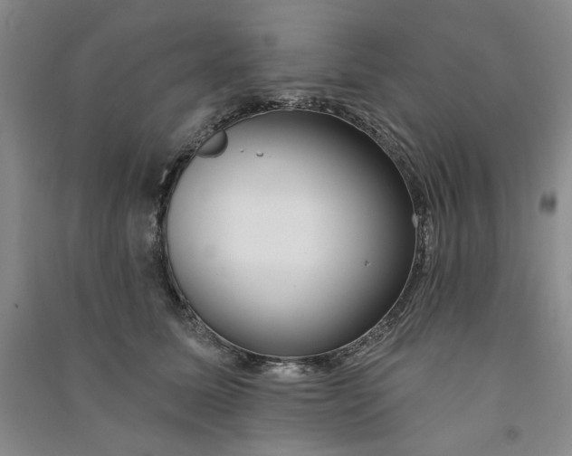 X0000090870611200708171626